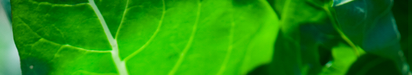16-Header-Utility